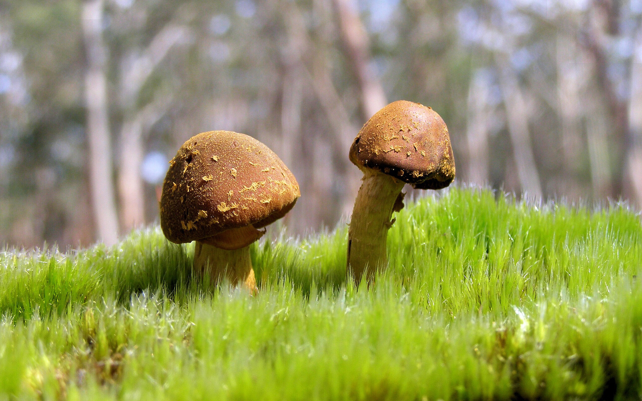 华体会app下载-中国足球比赛高压状态下的决策合理性评估