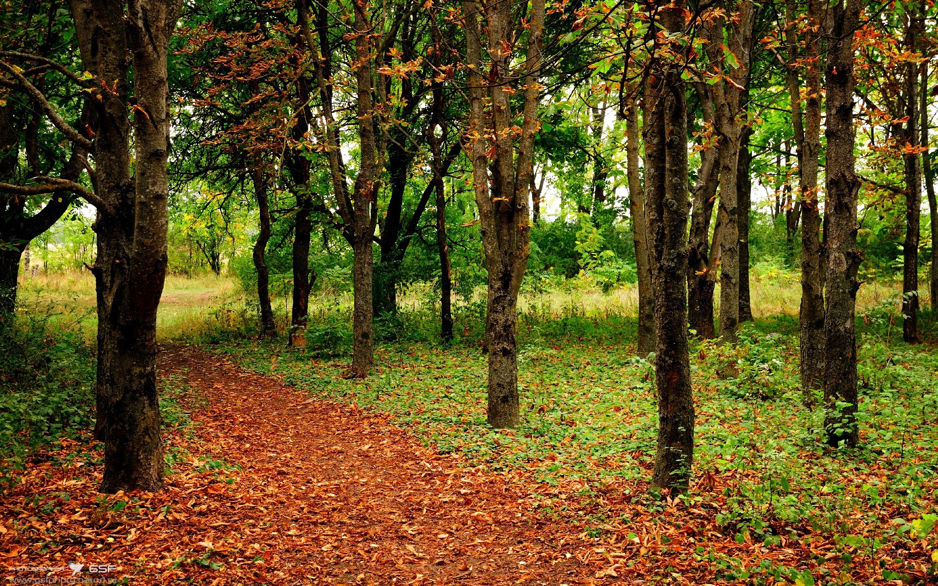 中国足球球员场上视野覆盖模型建立,足球运动员在一瞬间把握球场上对方球员的布局漏洞