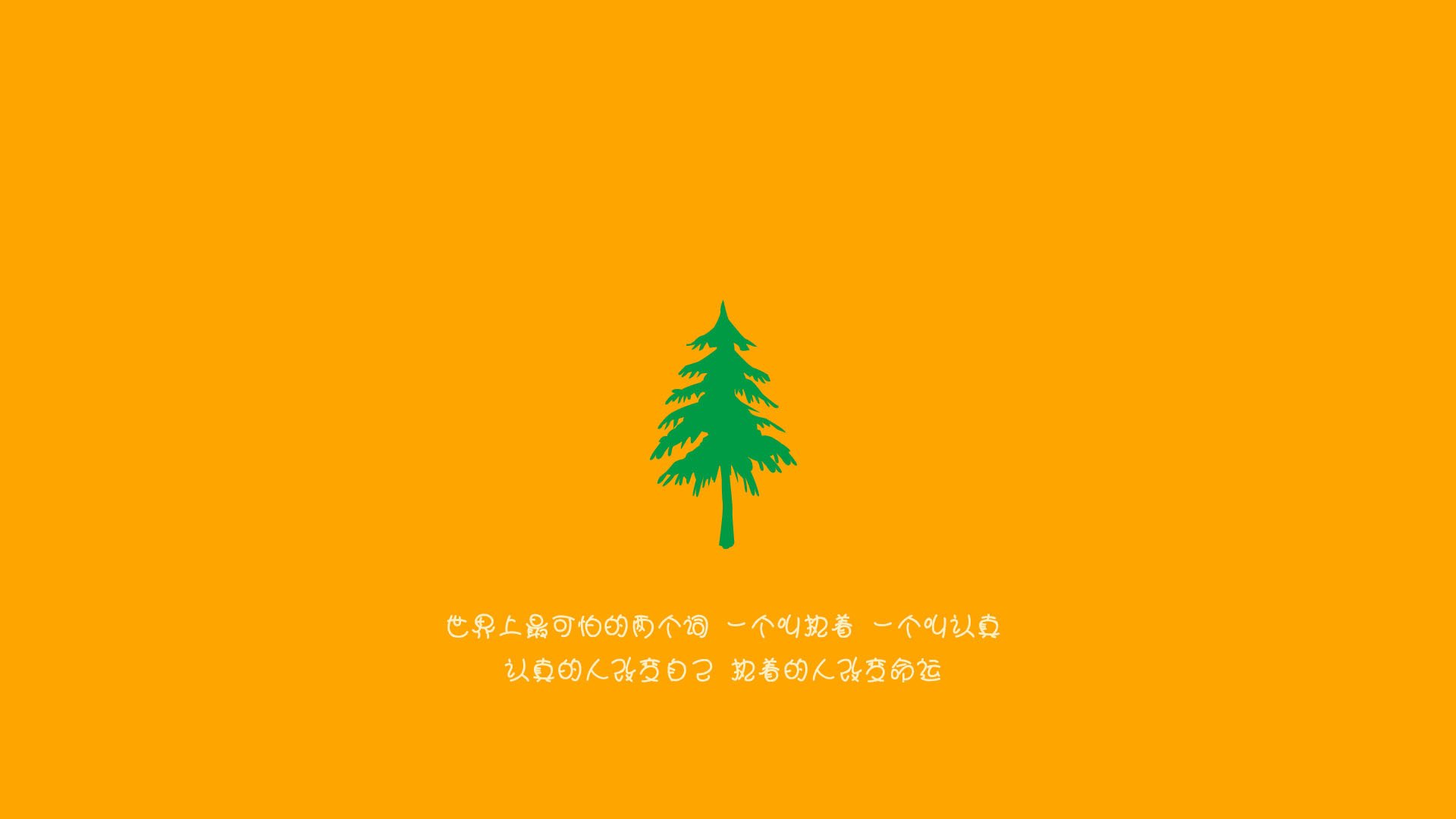 国际马术盛会中国骑手再创新高,中国马术骑手证