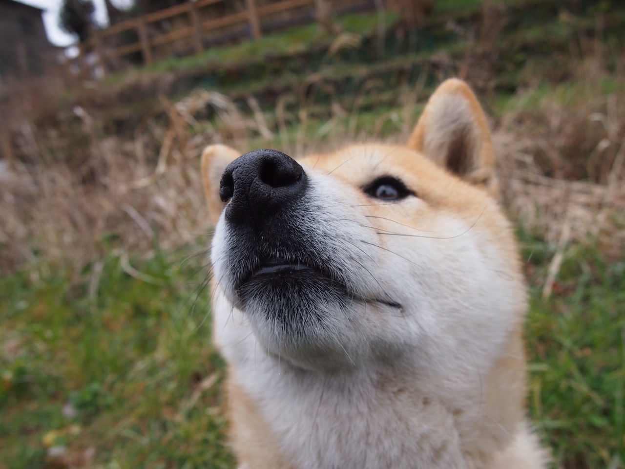 智能健身设备用户体验优化路径分析,健身智能系统