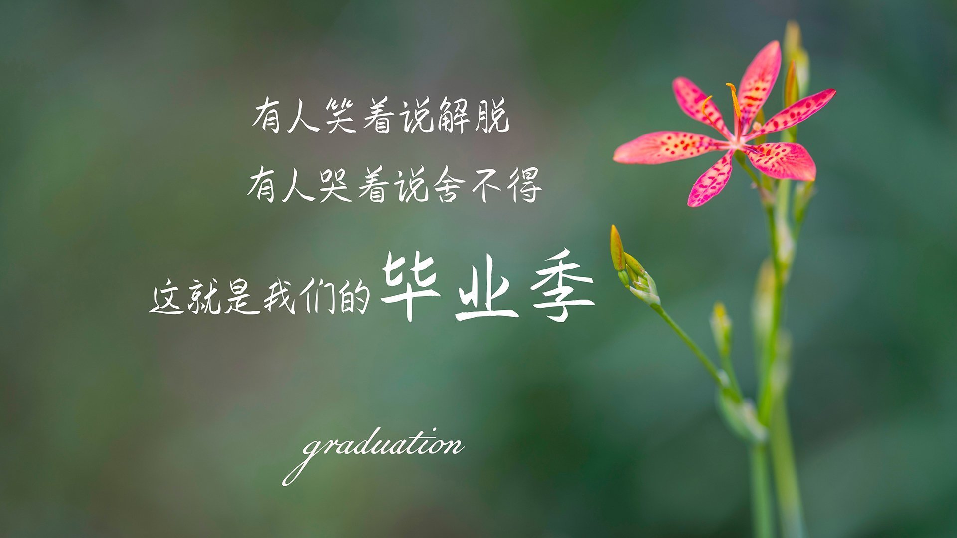 校园体育活动组织管理创新研究,校园体育活动组织管理创新研究方案