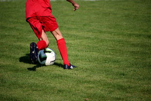 华体会在线登录-篮球运动员心理韧性培养与干预体系，篮球运动员的心理选材