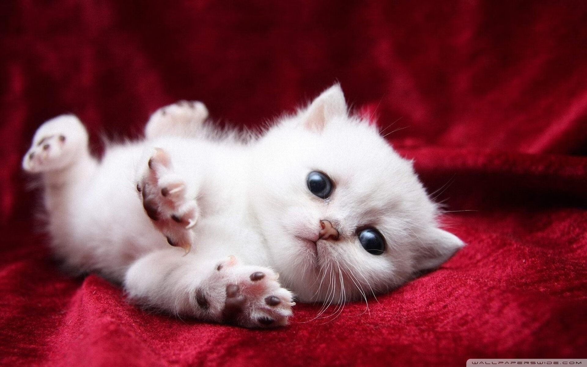 西甲球员赛后心率变异性监测指导训练恢复,心率变异性参数正常值