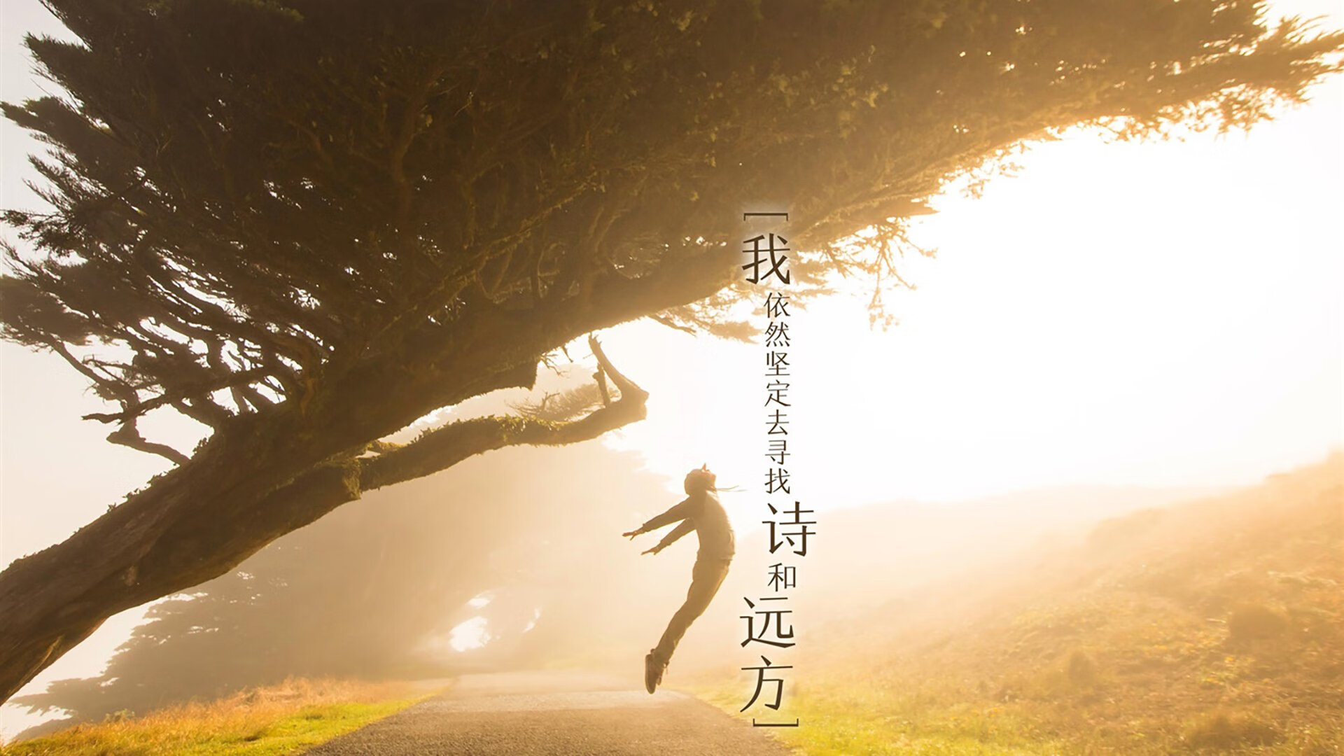 世界杯经典瞬间:永远值得回味的精彩片段,世界杯精彩过人