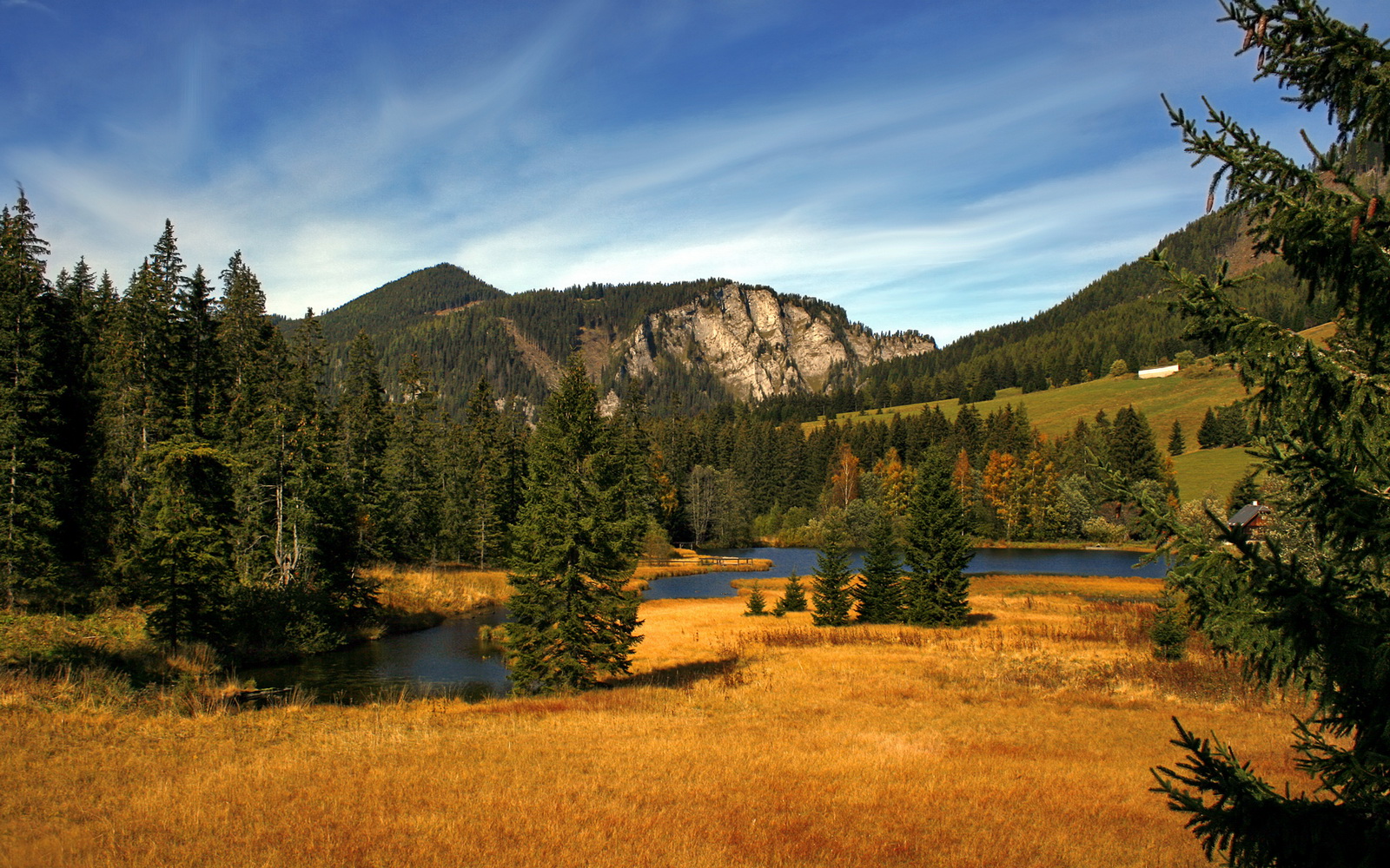 中立代表队B混合接力赛场勇敢拼搏