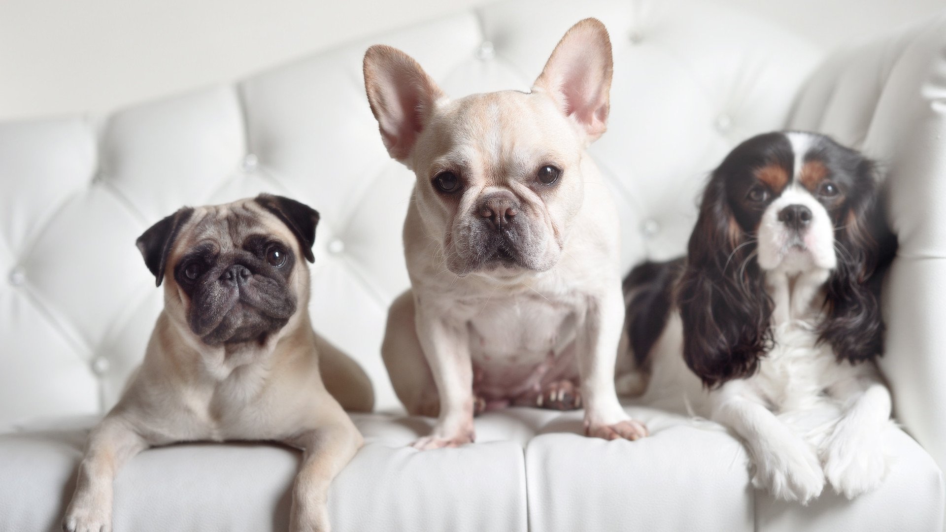 华体会-决赛回顾：温斯坦强力冲刺全场沸腾，温斯坦强度 条件选股公式