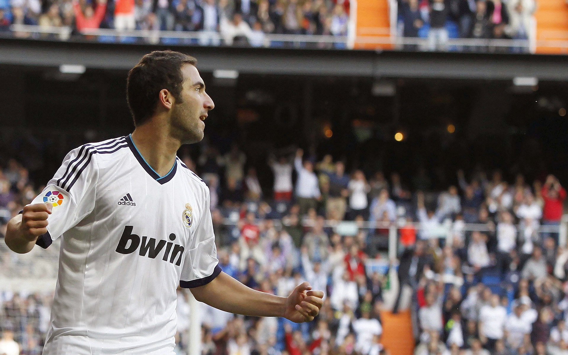 唐纳德·高尔的出色表现帮助袋鼠队屡屡领先对手,唐纳德古尔德