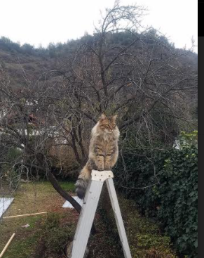 华体会官网入口-威少连续突破造成防守混乱，威少连续突破造成防守混乱的球队