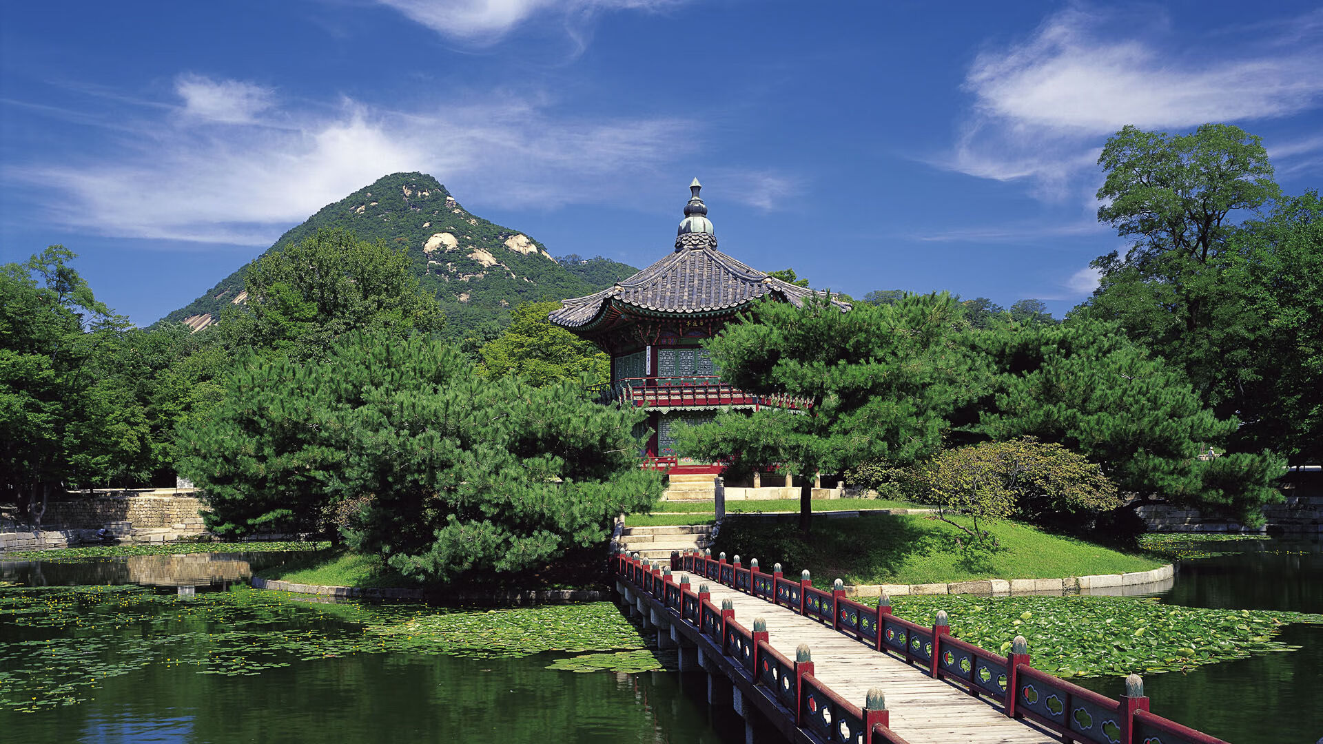 希腊女篮在欧洲锦标赛中再夺金牌,传统劲旅不止步,希腊女子篮球超级联赛ds