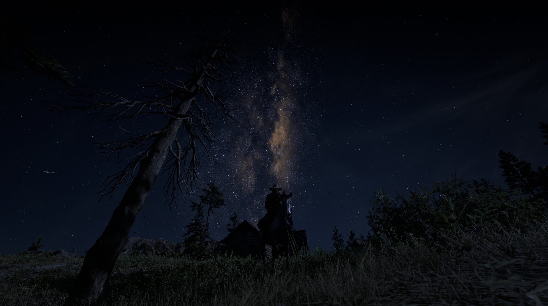 美洲杯明星盛放:场场精彩尽在掌握!,美洲杯有哪些明星