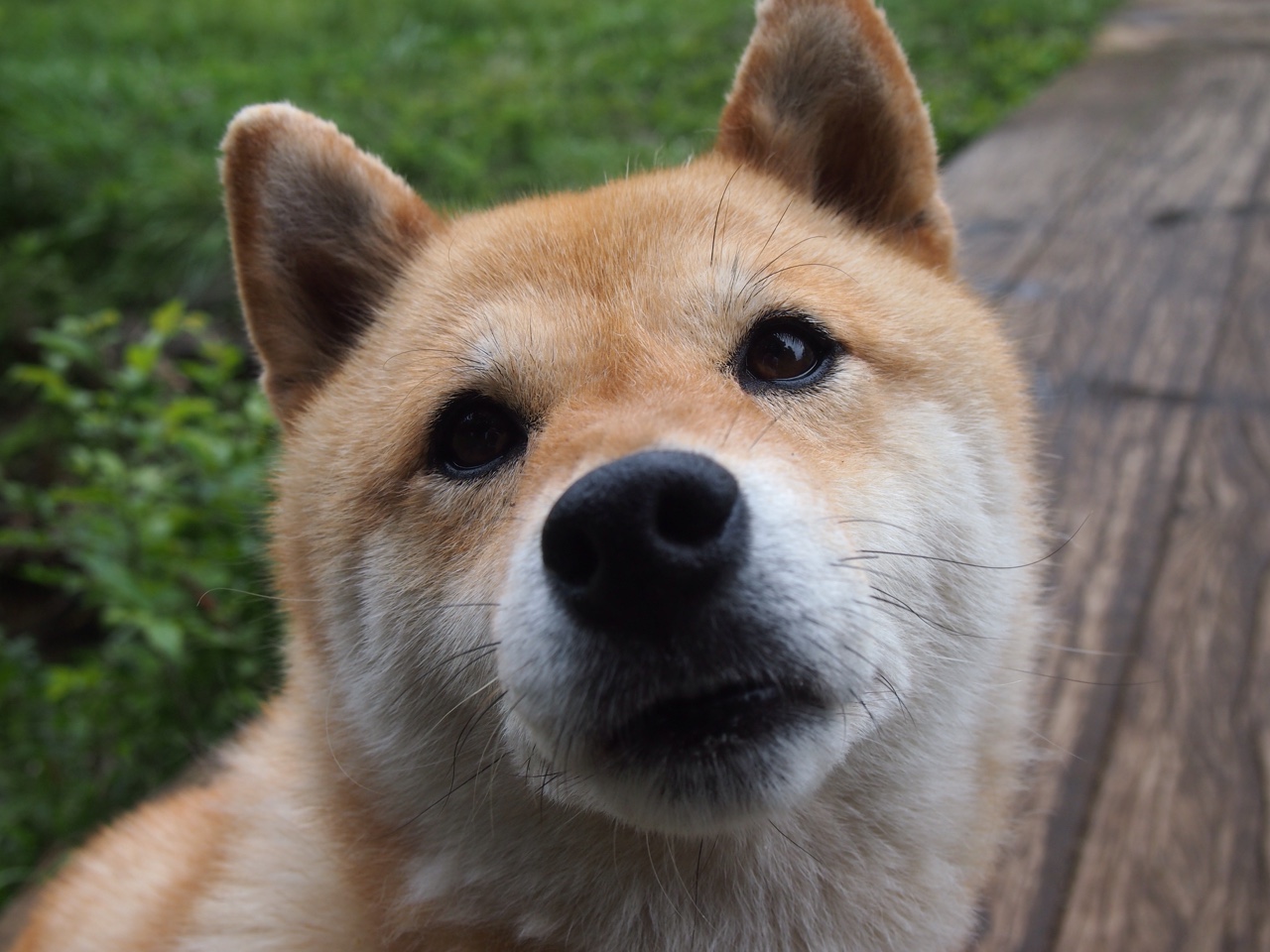 训练场上意外受伤引发赛事日程调整和人员轮换,训练场注意事项