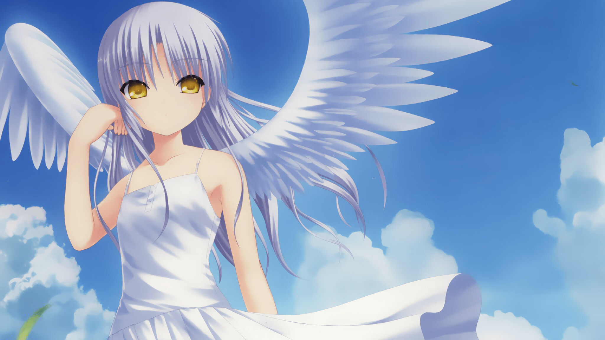 陈佳极速入水领跑蝶泳决赛,游泳陈佳