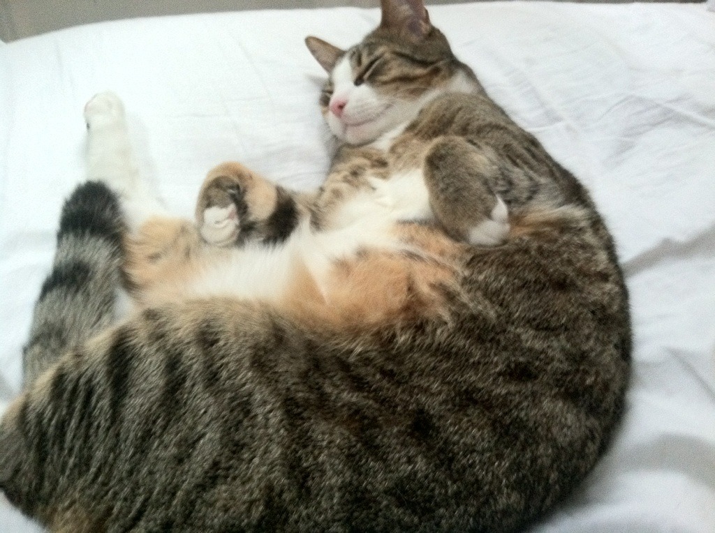 16年前追星 如今同场竞技 索博燃爆全场，索博广告