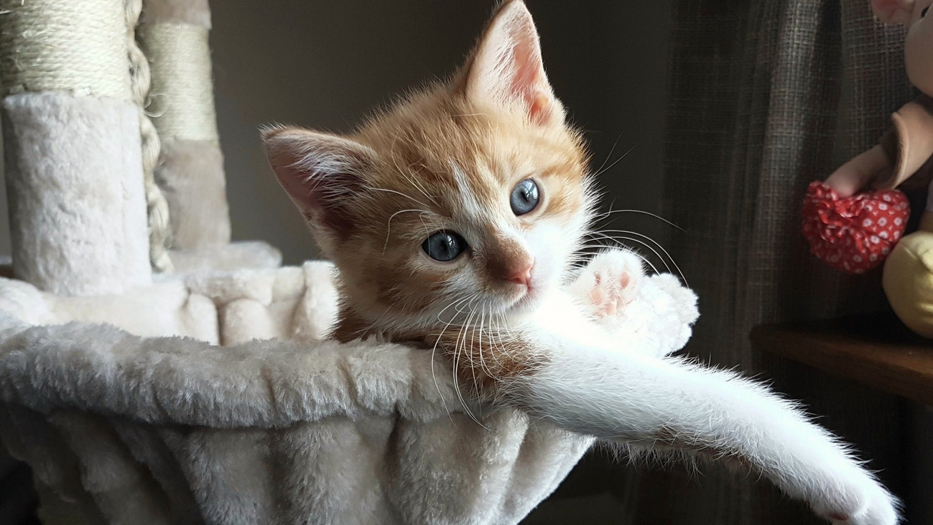 中国篮球项目在政策评估体系中的指标设置探讨,中国篮球协会2021篮球规则