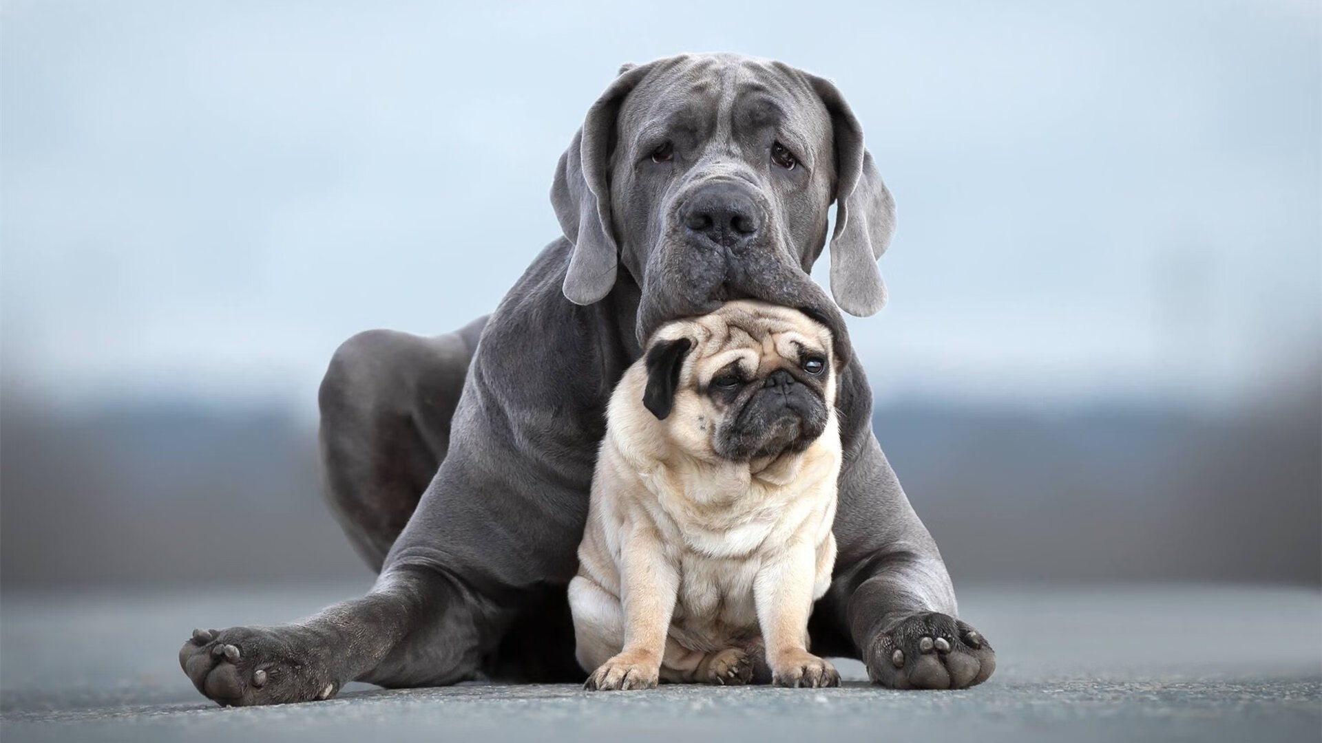 体育史上的“第一”:那些改变历史的瞬间