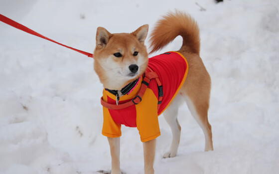 北大教授怒怼年轻人懒，网友调侃“靠研究生打工”？把焦虑变成成长的清单