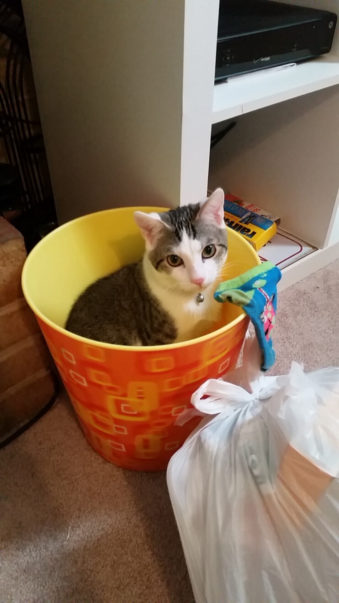 博卡青年力争成为南美输出型俱乐部代表，博卡青年培养出的球星